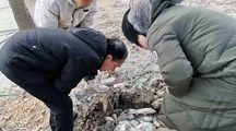 乡村振兴，专家先行