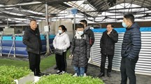 生态所科技人员赴青浦鱼菜共生基地开展合作交流