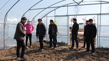 生态所专家赴浦东开展上海市西瓜甜瓜产业体系建设任务对接交流