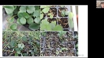疫情防控不松懈，科研服务不停滞