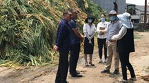 生态所科研人员赴青浦区开展调研和技术指导工作
