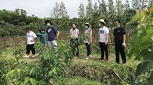 “农科英才”邀生态所专家助力西渡街道北新村建设