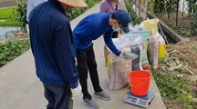 生态所科技人员赴青浦区金泽镇指导农业生产