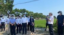 2022年上海市农业主推技术“稻田杂草‘播（插）喷同步’防除技术”现场效果观摩会在松江区召开