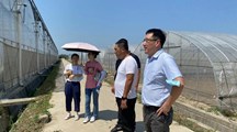 生态所科技人员与上海资福粮食种植专业合作社交流对接