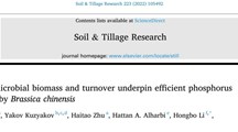 生态所施肥技术研究团队在设施蔬菜种植体系磷肥管理研究中取得新进展