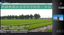 我院沈国辉研究员应邀作“上海市科协科创服务直通车——稻田杂草科学防控技术”专题讲座