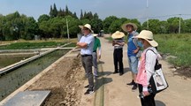 生态所科技人员赴青浦现代农业园区开展障碍土壤调查和技术指导