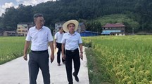 生态所科技人员赴贵州调研指导黄鳝产业发展