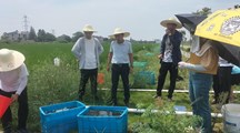 生态所科技人员赴嘉善进行技术指导