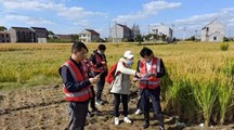 【三普动态】生态所科技人员带队开展奉贤试点区第三次全国土壤普查剖面土壤调查与采样工作