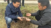 生态所科技人员赴奉贤区西校经济合作社开展稻田“沪地龙”药用蚯蚓轮作技术指导