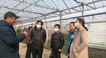 【先行区共建】生态所专家赴金山廊下镇开展技术合作交流