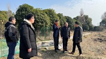 我院科技人员赴青浦开展项目合作交流
