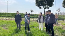 【先行区共建】我院生态所科技人员赴金山开展水稻旱播技术调研指导