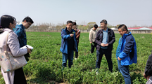 生态所市科委“碳达峰碳中和”专项项目组成员赴崇明基地考察指导