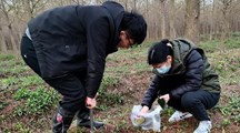 生态所科技人员赴横沙新洲开展生态调查
