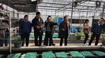 国家特色淡水鱼产业技术体系岗位专家来我院调研交流