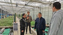 国家特色淡水鱼产业技术体系海口站一行来我院调研交流