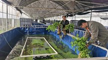 生态所科技人员赴浙江平湖进行技术指导