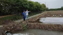 生态所科技人员赴青浦进行技术指导