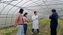 【先行区共建】生态所科技人员赴金山区开展技术指导