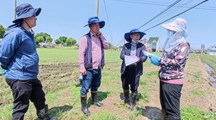 【先行区共建】生态所杂草管理团队赴金山区对接杂草稻防除试验
