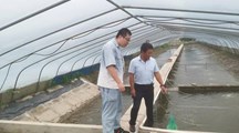 【先行区共建】生态所科技人员赴金山开展养殖和育苗技术指导
