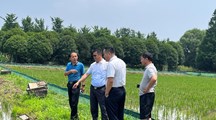 我院科技人员赴青浦基地开展技术指导