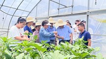 生态所主持科技兴农推广项目顺利通过项目执行跟踪检查