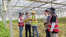 【三普动态】市三普办到松江外业采样现场及制备实验室进行督导调研