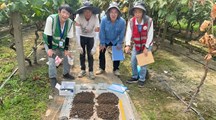 【三普动态】嘉定区葡萄基地开展“三普”外业调查采样
