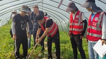 【三普动态】市级技术专家吕卫光研究员率队指导浦东三普工作