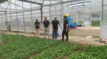 【先行区共建】生态所土壤修复团队赴金山区开展设施菜地土壤障碍问题调研和技术指导