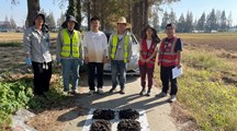 【三普动态】市质控实验室对松江区林地草地样品转码并开展水田样点外业采样质控工作