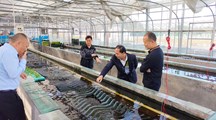 湖北仙桃市张沟镇领导一行来我院考察交流