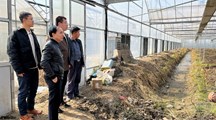 【先行区共建】生态所科技人员赴金山区进行技术指导与交流合作