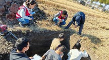 【三普动态】“摸清土壤家底，写好‘土’的文章”——市质控实验室对松江区叶榭镇东石村水田剖面样点开展外业采样现场质控工作