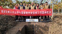 【三普动态】嘉定区“三普”土壤外业调查采样工作顺利收官