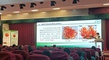 生态所科技人员到莘松中学作科普讲座