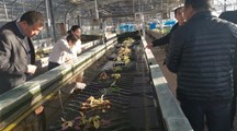 嘉善农业科学研究所领导一行来我院考察交流