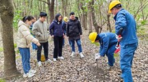 【三普动态】松江区开展“三普”土壤类型野外校核工作
