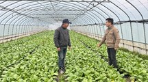 【先行区共建】生态所科技人员赴金山廊下对接示范基地进行虫害防控指导