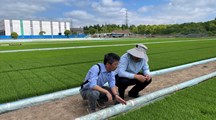 生态所植物病理科技人员应邀赴农场解决水稻病害问题