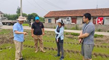 生态所“碳达峰碳中和”专项项目组成员赴技术示范基地考察指导