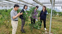 我院生态所科技人员赴奉贤区青村镇开展技术服务