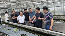 湖北省仙桃市张沟镇镇长王余庭一行来我院庄行基地开展黄鳝调研交流