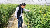 【榜样的力量】院“两优一先”优秀党务工作者—张继宁