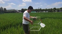 【榜样的力量】院“两优一先”优秀共产党员—孙会峰