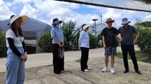 我院生态所科技人员赴上海一帆蔬果专业合作社开展土壤修复改良试点工作
